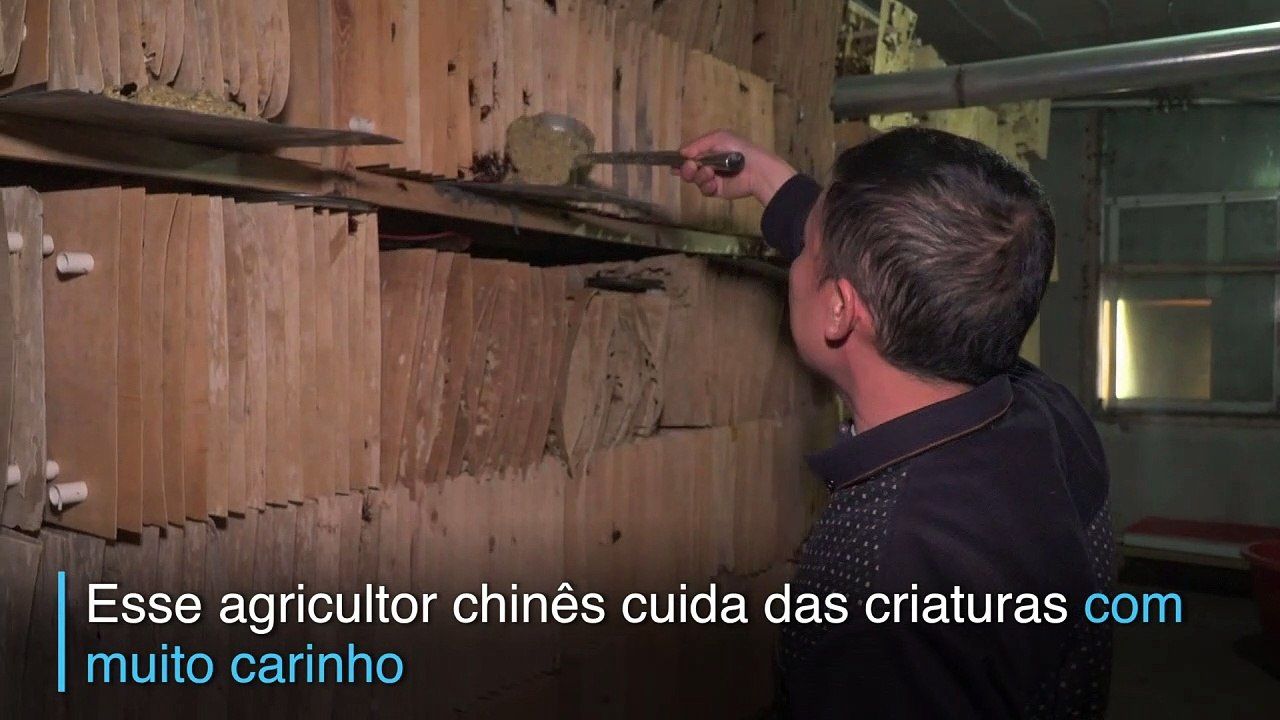 Nojentas e deliciosas
