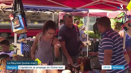 Santé : l'Outre-mer touché par une épidémie de dengue