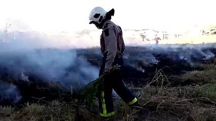 Bombeiros combatem incêndio em vegetação no Bairro Cancelli