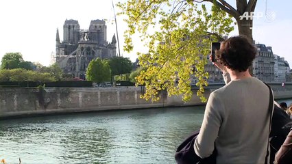 18H50 : les cloches résonnent à l'unisson pour Notre-Dame de Par