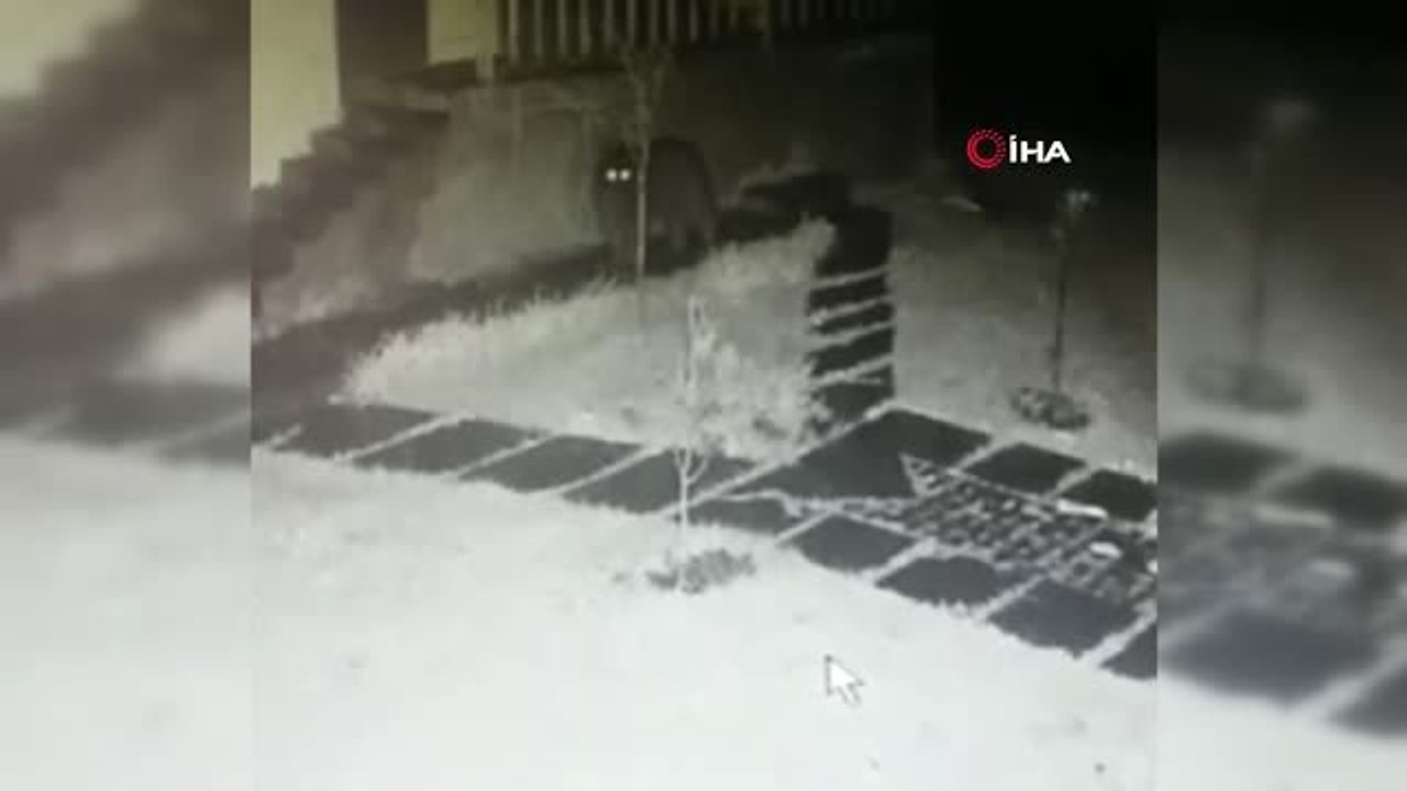 Orman İşletme Müdürlüğü Deposuna Ayı Girdi...o Anlar Kamerada