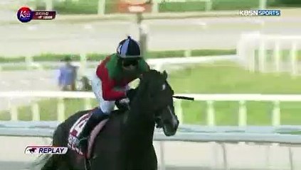 코리아레이스 , 서울레이스, ζ [RACC 33. CΦM] Ш 온라인경정