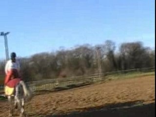 entrainement vernouillet kamée 12-01-08 dress-galop