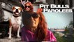 Pit Bulls And Parolees S04E15