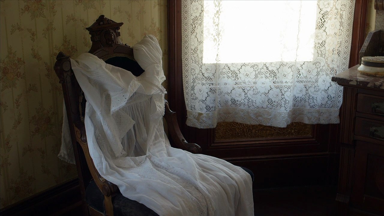 Wild Nights With Emily Movie clip