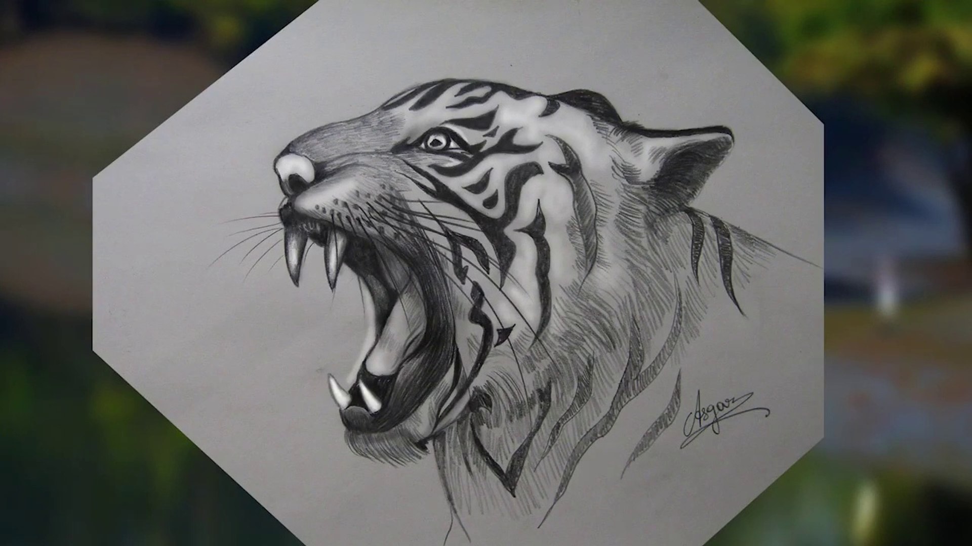 tiger face drawing pencil