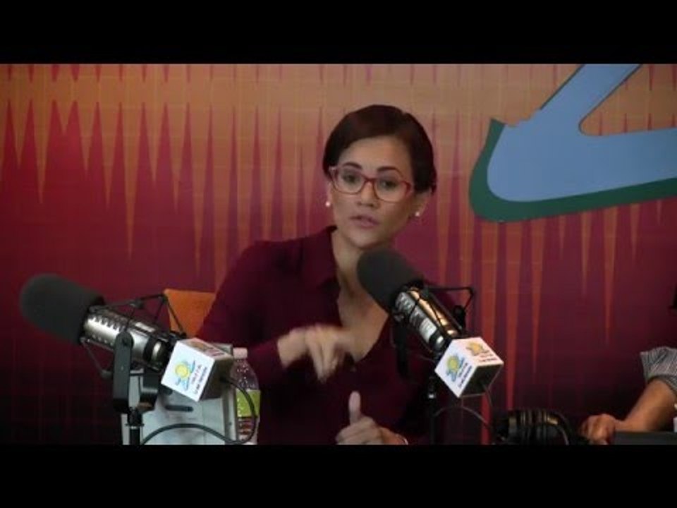 Elizabeth Mateo comenta los tribunales de familia, es la mayor amenaza para la familia