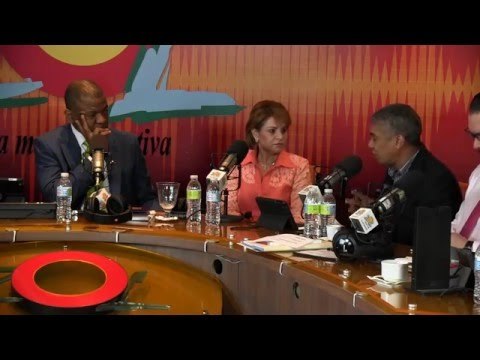 Diputada Lucia Medina desmiente spot publicitario del PRM sobre obras de Danilo en arroyo cano