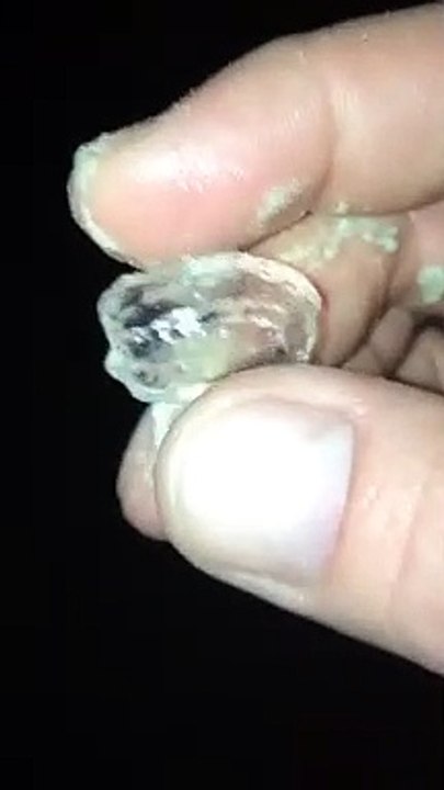 sea alien