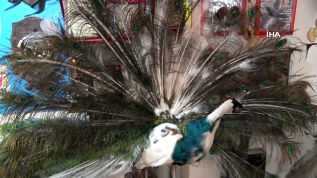 Hobi amaçlı başladı işi oldu