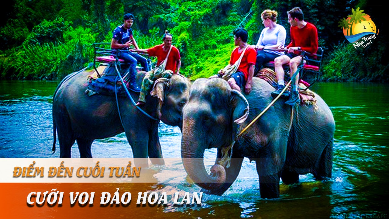 [ĐIỂM ĐẾN CUỐI TUẦN] -  Lúc la lúc lắc cưỡi voi đi chơi | NHA TRANG TRAVEL