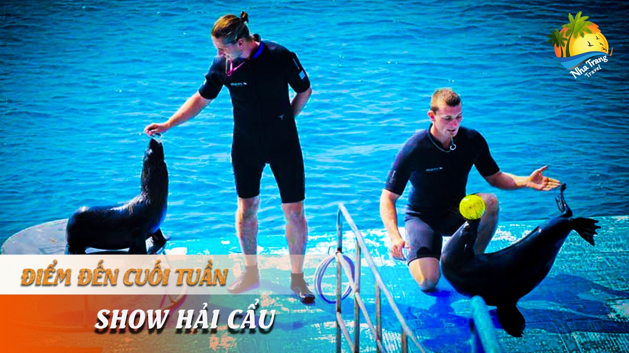 [ĐIỂM ĐẾN CUỐI TUẦN] -  Sôi động với các màn trình diễn hải cẩu "siêu dễ thương" | NHA TRANG TRAVEL