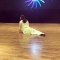 Kriti Sanon Dance Practice | Kalank Movie | Hot Dance | Bollywood