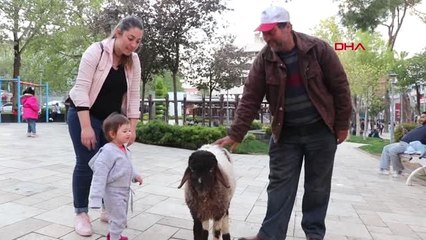 Denizli 'İpi Boğazını Sıkıyor' Diye Sahibinden Satın Aldığı Kuzuya Bakıyor