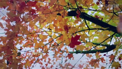 [Eng Sub] The Power of Love 15 | Overbearing president falls in love with Cinderella