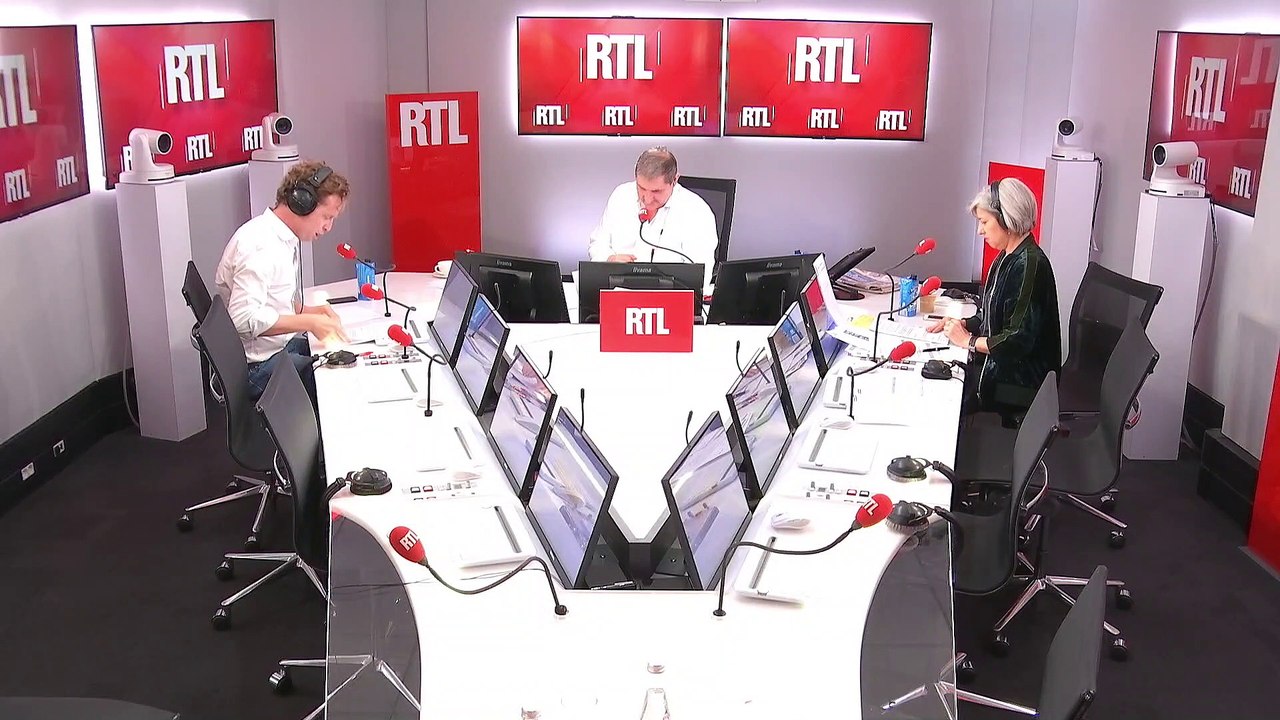 Des cerveaux de porcs continuent de fonctionner après leur mort