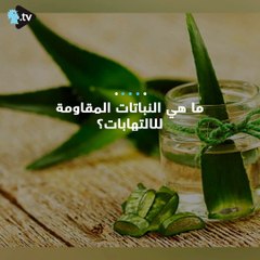 ما هي  النباتات المقاومة للالتهابات!