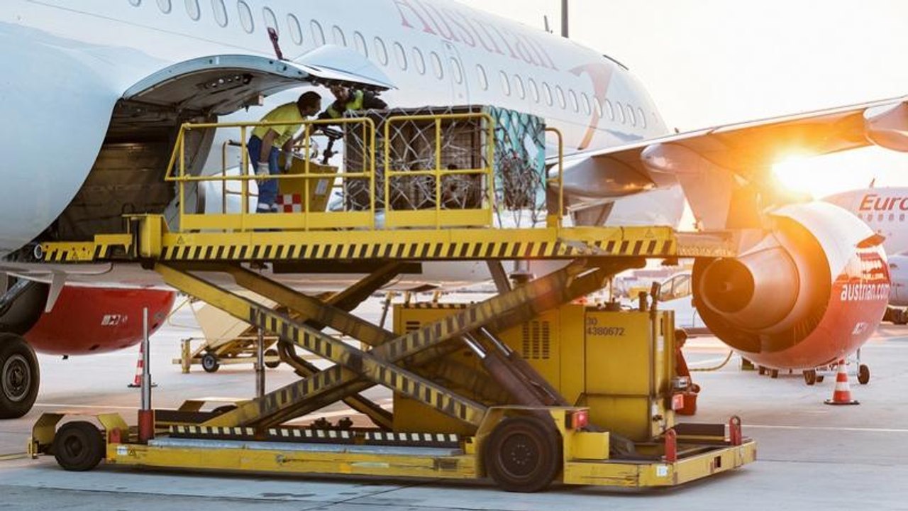 Pandamännchen Yuan Yuan (19) nach Wien eingeflogen