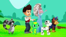 Paw Patrol épisodes complets & Groovy le Martien à Superzoo Comptines - Pups save Marshall!