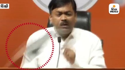 ભાજપના હેડકર્વાટરમાં પ્રેસ કોન્ફરન્સ દરમિયાન જીવીએલ નરસિમ્હા રાવ પર જૂતું ફેંકાયુ