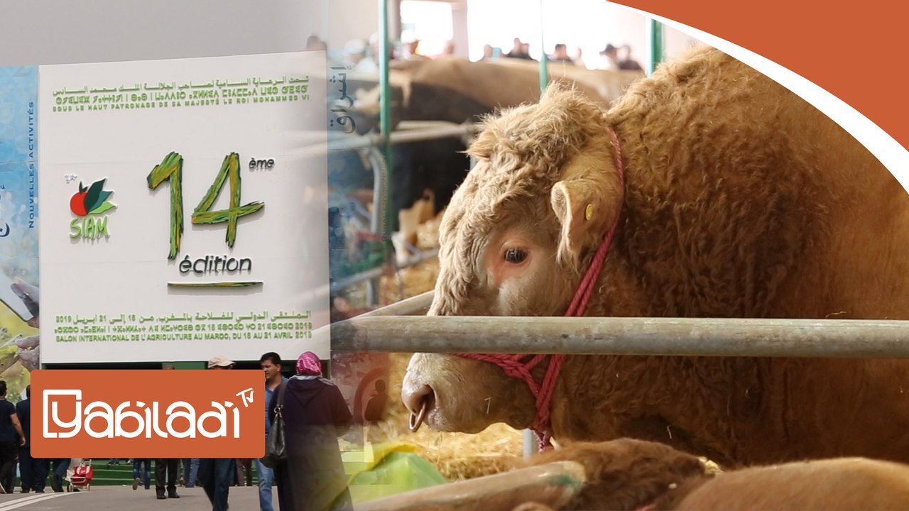 سيام 2019: مشاركون في النسخة 14 للمعرض  يتحدثون عن منتوجاتهم‎