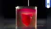 Israeli scientists produce the world's first 3D-printed heart