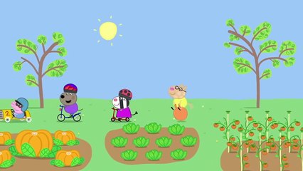 Peppa Pig  Compilation 2019 Finds a Friend for Goldie Peppa Pig Official