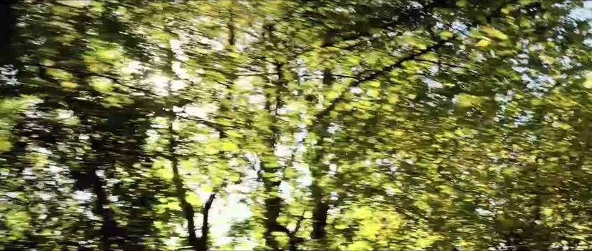 LES PLUS BELLES ANNÉES D'UNE VIE Film