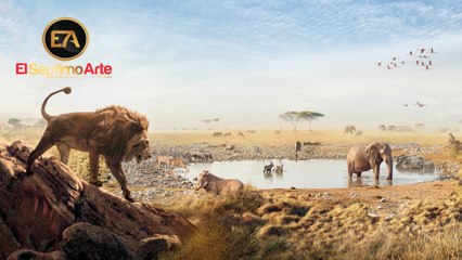 Serengeti (BBC Earth) - Tráiler español (HD)