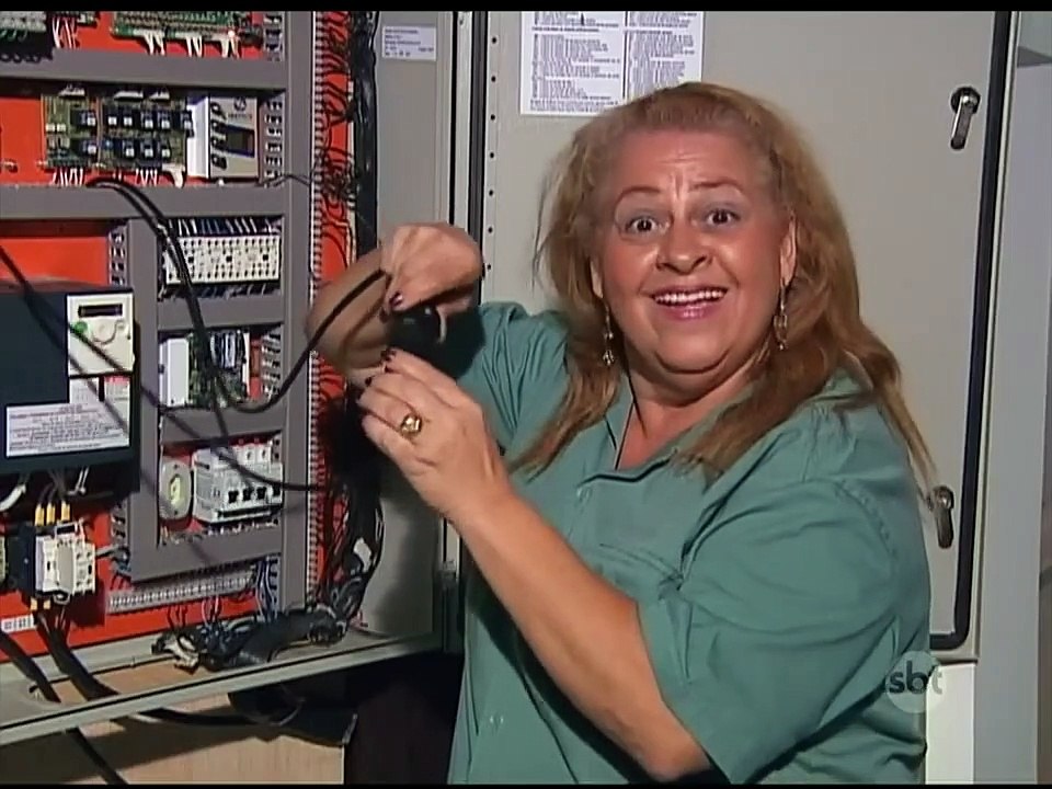 Câmera Escondida: Bichos no Elevador