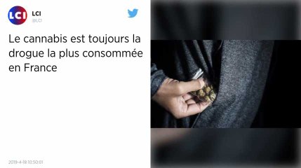 Le cannabis est la première drogue illicite consommée en France