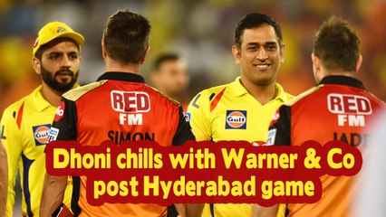 IPL 2019 | Dhoni chills with Warner & Co post Hyderabad game