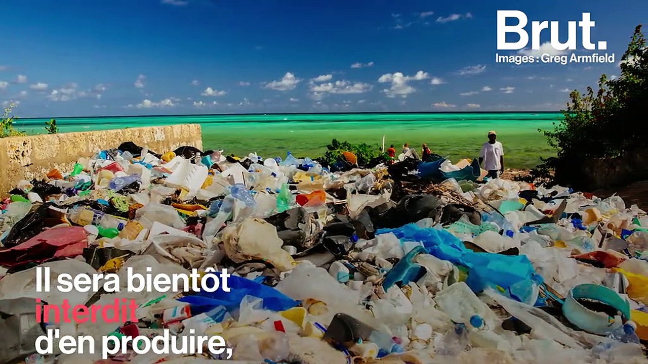 Lois contre le plastique, protection des papillons… Les 5 bonnes nouvelles pour la planète