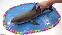 Baby Shark | Learn Colors with Rainbow Pool w Shark Toys | Nursery Rhymes Songs for Kids