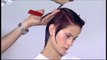 Vidal Sassoon Haircut - Asymmetrical Pixie Haircut Tutorial