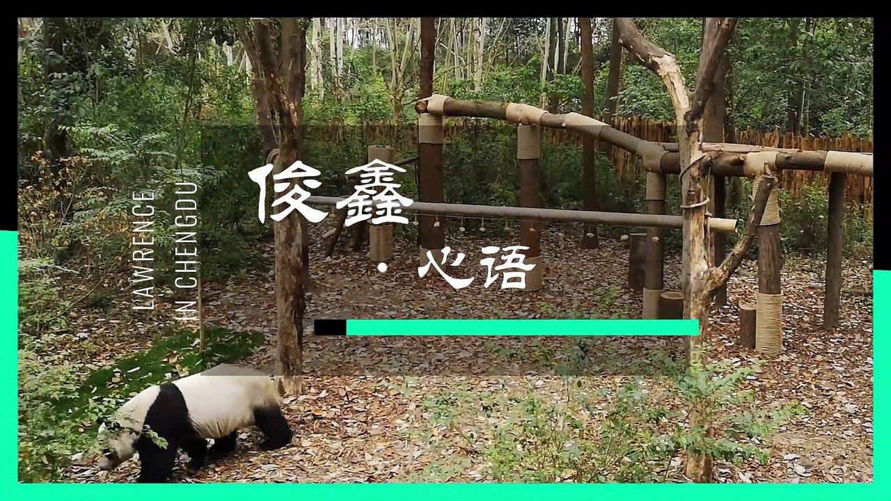 丘俊鑫 Lawrence Hiew 【中國成都之旅 - 俊鑫心語】 肥寳 Fable Pork Rinds