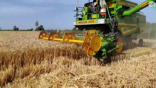 Wheat Harvesting season started northern india - Come To Village |