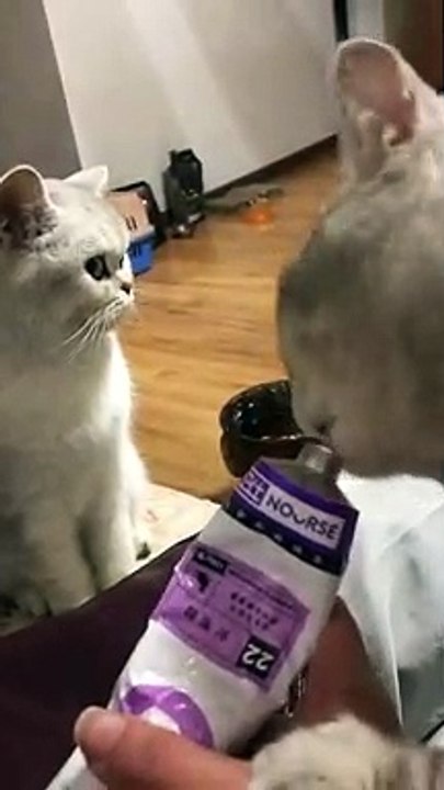 You eat my food,bastard.