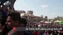 طلاب جامعة عين شمس يتسلقون الأشجار لمشاهدة حفل رامي صبري