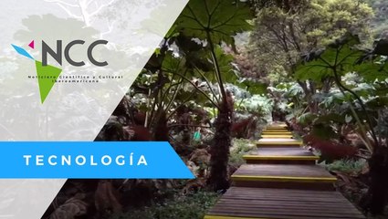 La Isla Robinson Crusoe quiere ser ejemplo de conservación mundial