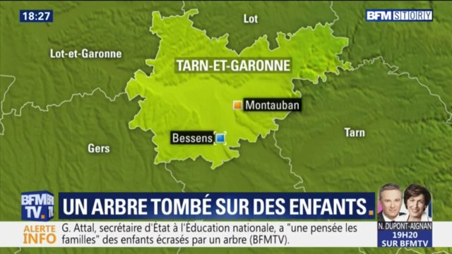 Arbre tombé sur des enfants: Il y a eu des bourrasques, il a vu les racines bouger , raconte la mère d'un enfant présent lors de l'accident
