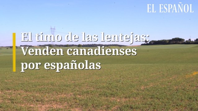 El timo de las lentejas: Venden canadienses por españolas
