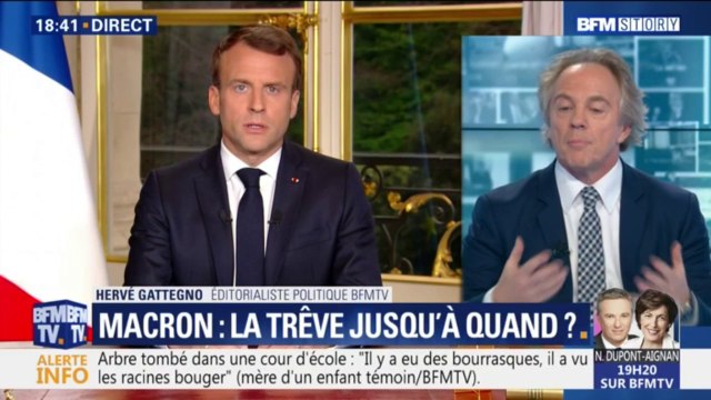 Tarn-et-Garonne : 2 enfants gravement blessés après la chute d'un arbre dans une école