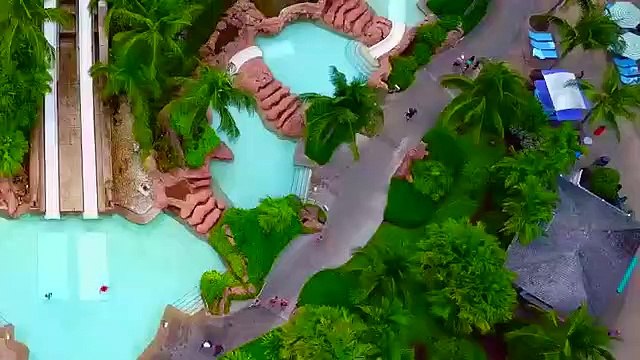 BAHAMAS SHARK HOTEL is Back! (Funnel Vision @ Atlantis 2018)