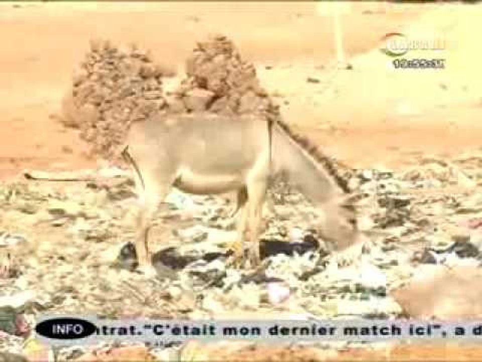 JT LABARI 23 NOVEMBRE 2016