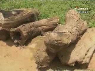 JT LABARI 29 AOÛT 2017