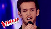 Calogero – Prendre Racine | Florent Torres | The Voice France 2013 | Prime 1