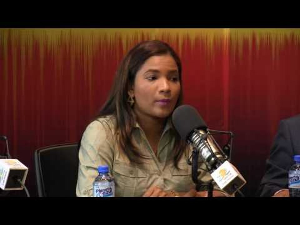 Anibelca Rosario comenta senado mantiene penalización del aborto