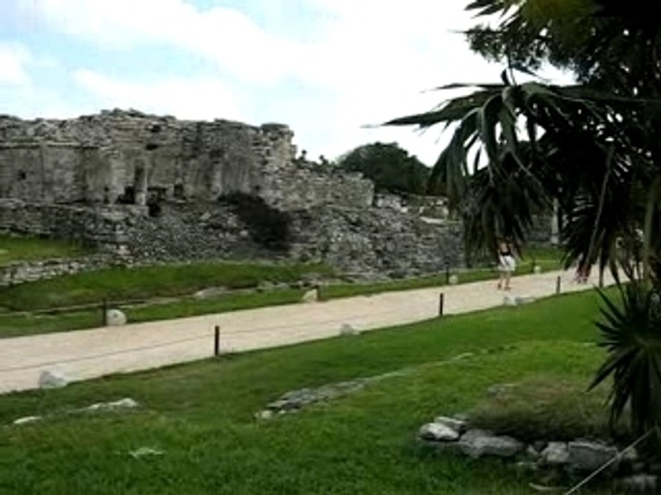 Mexvaca 266