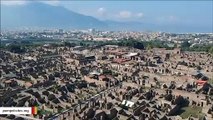 Here's A Pompeii Tree That Was Excavated 2,000 Years After Volcanic Eruption